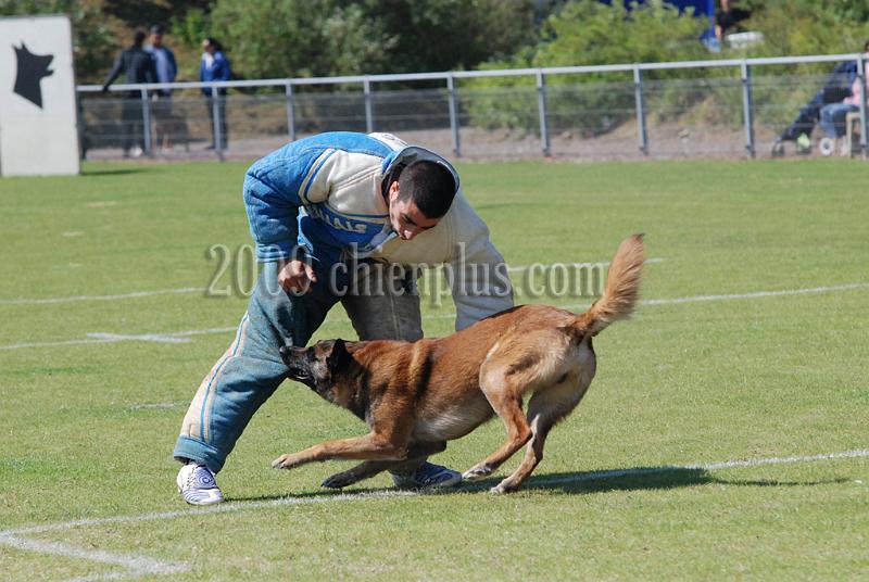 3 EME SELECTIF 2009 GRANDE SYNTHE 509.jpg